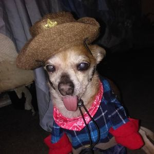 Meet your Posher, Cari